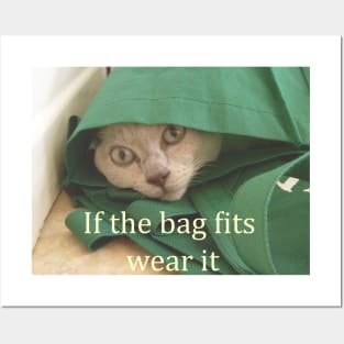 Funny cat picture, if the bag fits wear it Posters and Art